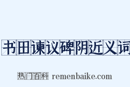 书田谏议碑阴近义词是什么意思的图片